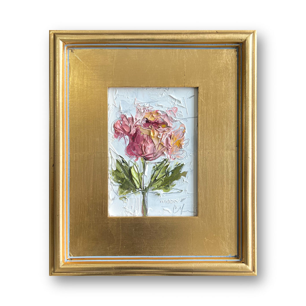 “Pink Peony VII” - 5x7 Oil on Canvas